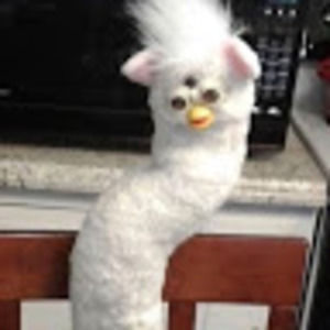 Meet your Posher, Bea